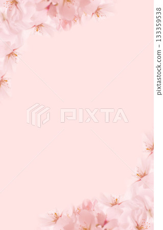 櫻花 133359538