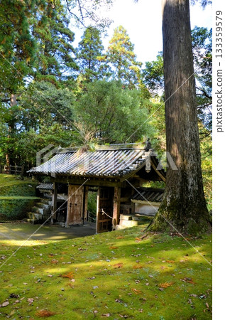 Obi Castle Former Honmaru Ruins Obi Castle Former Honmaru Ruins 133359579