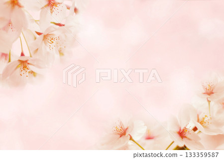 Cherry Blossom	 133359587