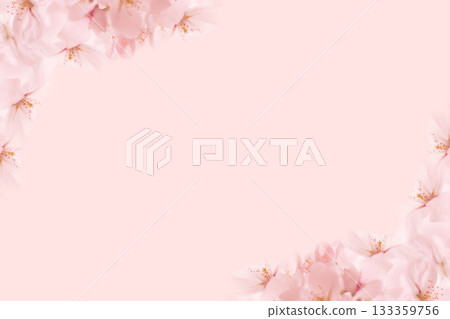 櫻花 133359756
