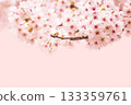 Cherry Blossom	 133359761