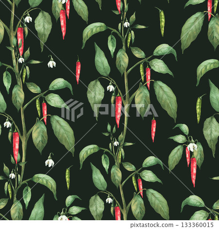 Red Chili pepper watercolor seamless pattern. Plant with ripe and green unripe pepper pods, flowers and leaves. Hand drawn watercolor illustration. Hot Spicy vegetables on Isolated dark background. Red Chili pepper watercolor seamless pattern. Plant with ripe and green unripe pepper pods, flowers and leaves. Hand drawn watercolor illustration. Hot Spicy vegetables on Isolated dark background. 133360015