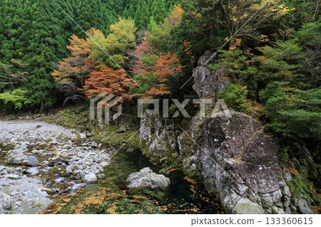 秋葉染紅的山谷 133360615