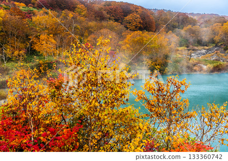 Autumn leaves at Jigoku-numa Swamp (Aomori City, Aomori Prefecture) Autumn leaves at Jigoku-numa Swamp (Aomori City, Aomori Prefecture) 133360742