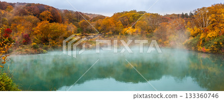 地獄沼池秋葉全景 [青森市，青森縣] 133360746
