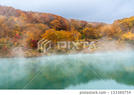 Autumn leaves at Jigoku-numa Swamp (Aomori City, Aomori Prefecture) 133360754