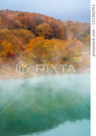 Autumn leaves at Jigoku-numa Swamp (Aomori City, Aomori Prefecture) 133360763