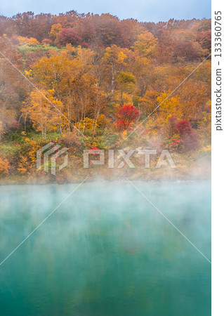 Autumn leaves at Jigoku-numa Swamp (Aomori City, Aomori Prefecture) Autumn leaves at Jigoku-numa Swamp (Aomori City, Aomori Prefecture) 133360765