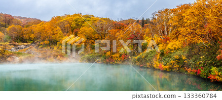 地獄沼池秋葉全景 [青森市，青森縣] 133360784