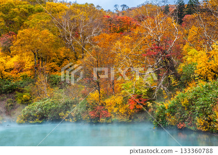 Autumn leaves at Jigoku-numa Swamp (Aomori City, Aomori Prefecture) Autumn leaves at Jigoku-numa Swamp (Aomori City, Aomori Prefecture) 133360788