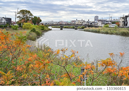 Walking in Koshigaya - Ayase River - River surface - Gamo Atago, Koshigaya City Walking in Koshigaya - Ayase River - River surface - Gamo Atago, Koshigaya City 133360815