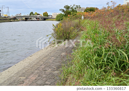 Walking in Koshigaya - Ayase River - River surface - Gamo Atago, Koshigaya City Walking in Koshigaya - Ayase River - River surface - Gamo Atago, Koshigaya City 133360817
