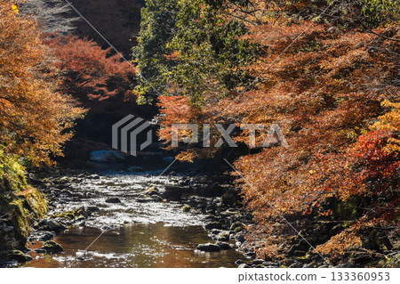 秋景:山谷中的秋葉 秋景:山谷中的秋葉 133360953