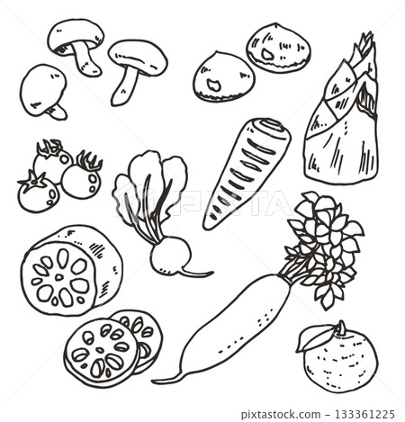 逼真的蔬菜套裝線描圖 133361225