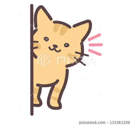 棕色的貓正看著你 133361289