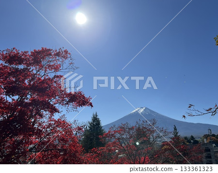 Yamanashi Prefecture: Red autumn leaves and Mount Fuji Yamanashi Prefecture: Red autumn leaves and Mount Fuji 133361323