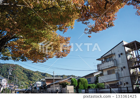 秋天的光 133361425