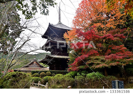 Mitsuji-ji Triple Tower 133361586