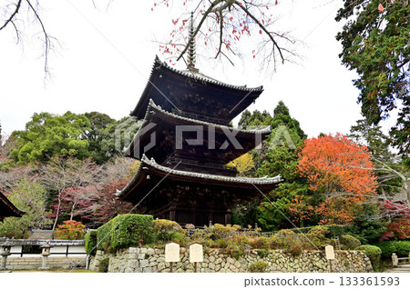Mitsuji-ji Triple Tower 133361593