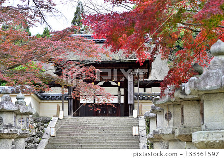 Miidera Temple Four-legged Gate 133361597