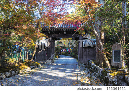 京都關山禪院附近秋葉美景 133361631
