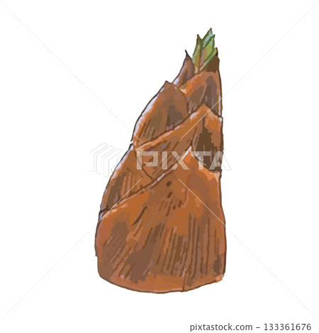 逼真的蔬菜插畫_竹筍 逼真的蔬菜插畫_竹筍 133361676