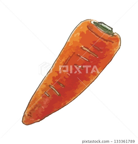 Realistic illustration of various vegetables_carrot 133361789