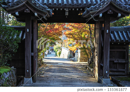 京都關山禪院附近秋葉美景 京都關山禪院附近秋葉美景 133361877