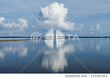 Beautiful Tree of Life installation art at Qinkunshen Fan-shaped Salt Fields in Jiangjun, Tainan, Taiwan, one of the Southwest Coast National Scenic Area attractions. 133361952