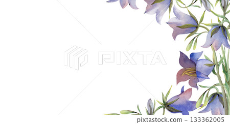 A horizontal frame with bluebells on an isolated background. Watercolor illustration of wildflowers. A botanical template with an empty place to insert. 133362005