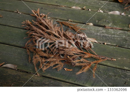 Dead cedar twigs placed on wood 133362096
