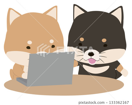 一隻柴犬在使用筆記型電腦，一隻黑色的柴犬在教書 133362167