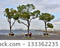 A bench facing the harbor in Yamashita Park A bench facing the harbor in Yamashita Park 133362235