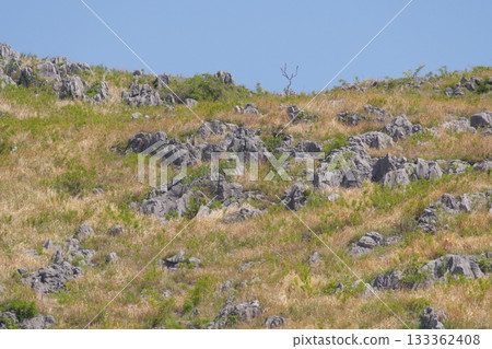 Akiyoshidai with dead grass in the spring of 2025 Akiyoshidai with dead grass in the spring of 2025 133362408