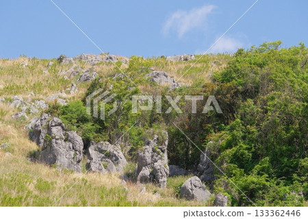 Akiyoshidai with dead grass in the spring of 2025 133362446