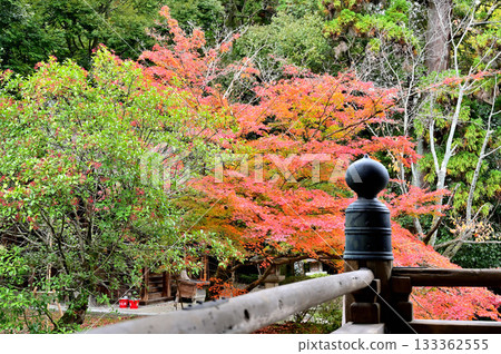 Mitsui-ji Temple 133362555