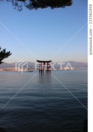 [Miyajima, Hiroshima Prefecture] Itsukushima Shrine Miyajima scenery 133362959