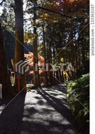 2025年11月16日:貴船神社奧宮 2025年11月16日:貴船神社奧宮 133363187
