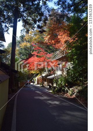 November 16, 2025 Mount Kifune November 16, 2025 Mount Kifune 133363289