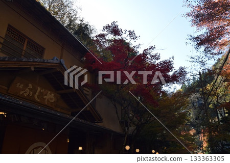 November 16, 2025 Mount Kifune 133363305