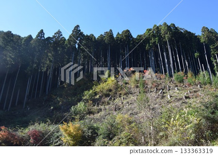 November 16, 2025 Mount Kifune 133363319