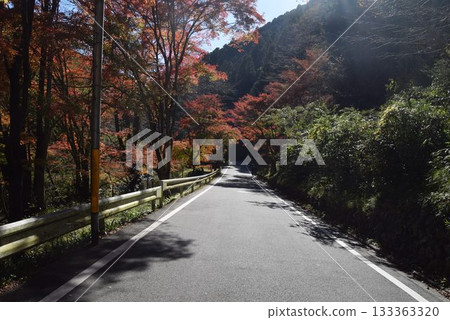 November 16, 2025 Mount Kifune November 16, 2025 Mount Kifune 133363320