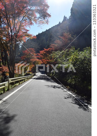 November 16, 2025 Mount Kifune November 16, 2025 Mount Kifune 133363321