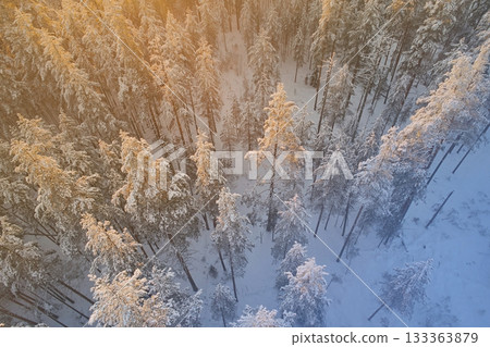 Aerial view of winter spruce forest. Beautiful landscape in the bright light of sunset. Warm and cold tone Aerial view of winter spruce forest. Beautiful landscape in the bright light of sunset. Warm and cold tone 133363879
