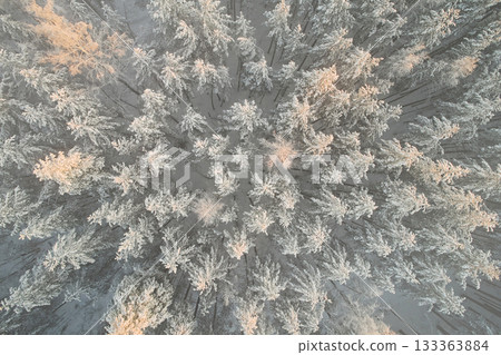 Aerial view of winter spruce forest texture. Beautiful landscape abstraction. Down view Aerial view of winter spruce forest texture. Beautiful landscape abstraction. Down view 133363884