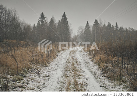 The road covered with snow against the background of an overgrown field and forest in cloudy weather The road covered with snow against the background of an overgrown field and forest in cloudy weather 133363901