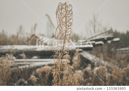 Dry grass with water drops and sleet close-up against the background of autumn nature and a destroyed wooden house Dry grass with water drops and sleet close-up against the background of autumn nature and a destroyed wooden house 133363905