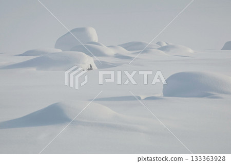 Snowdrifts in the tundra close-up against the background of a white field and the sky in a minimalist style. Snowdrifts in the tundra close-up against the background of a white field and the sky in a minimalist style. 133363928