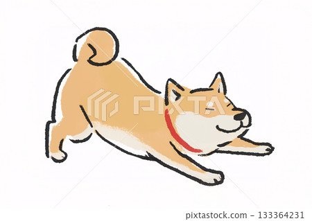 Shiba Inu 133364231