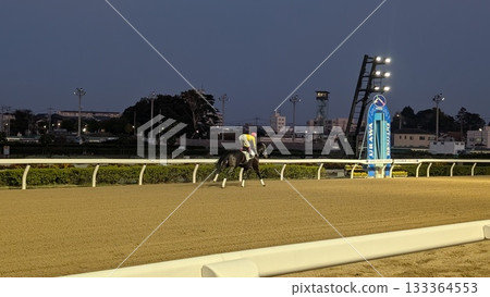在浦和賽馬場奔跑的賽馬 在浦和賽馬場奔跑的賽馬 133364553